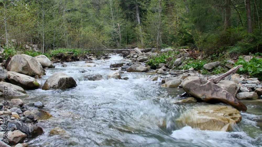 White water river in Carpathia Mountains. White water river in Carpathia Mountains.