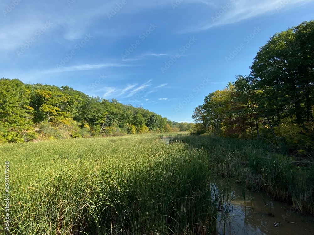 Nature Parks, Hamilton, ON - Canada. Parks around the city of Hamilton in Ontario. Simply gorgeous! Nature is beautiful and alive in connection with the city. September 2019. Nature Parks, Hamilton, ON - Canada. Parks around the city of Hamilton in Ontario. Simply gorgeous! Nature is beautiful and alive in connection with the city. September 2019.