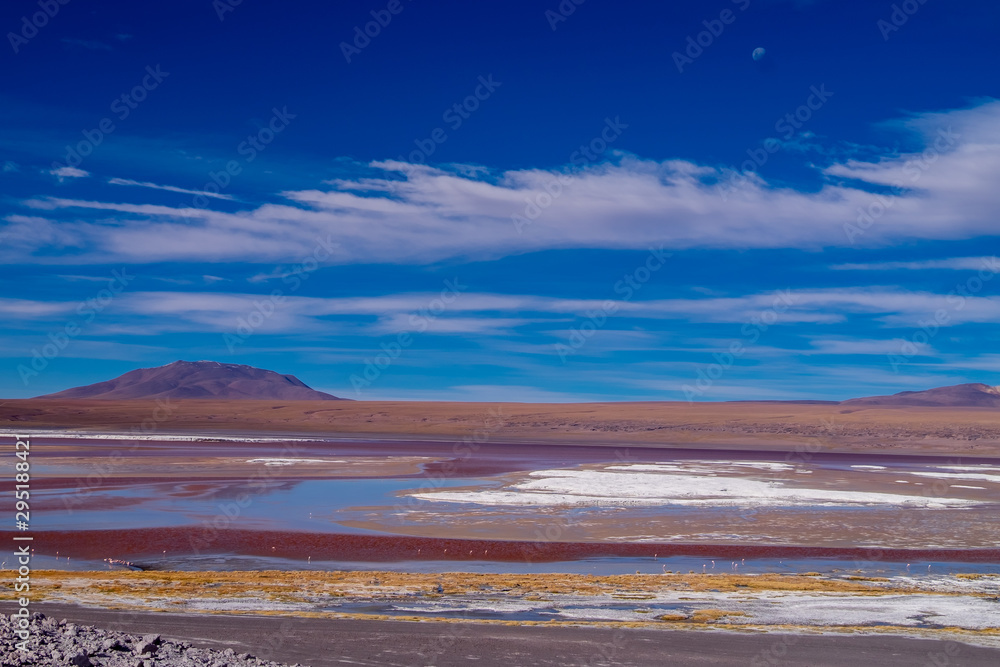 Laguna Colorada en Bolivia Sur Amercia 