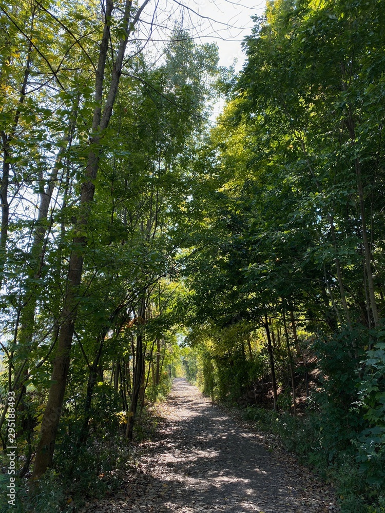 Obraz premium Nature Parks, Hamilton, ON - Canada. Parks around the city of Hamilton in Ontario. Simply gorgeous! Nature is beautiful and alive in connection with the city. September 2019.
