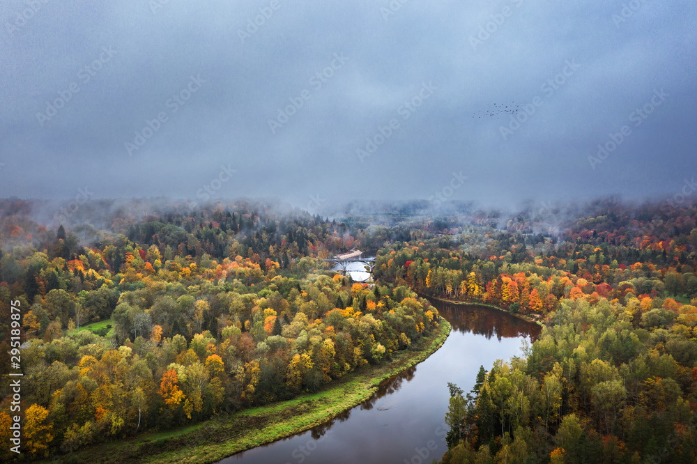 Valley of colorful trees covered fog at early mourning. Rainy weather with storm clouds in the sky. Picturesque panorama with river Gauja curving through the valley. 