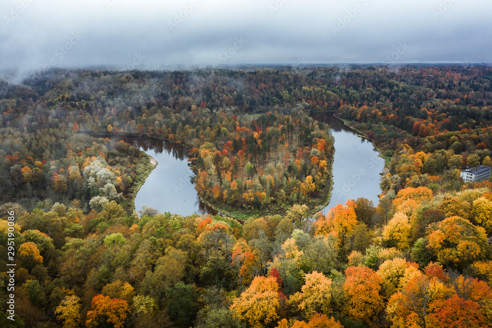 Valley of colorful trees covered fog at early mourning. Rainy weather with storm clouds in the sky. Picturesque panorama with river Gauja curving through the valley. 