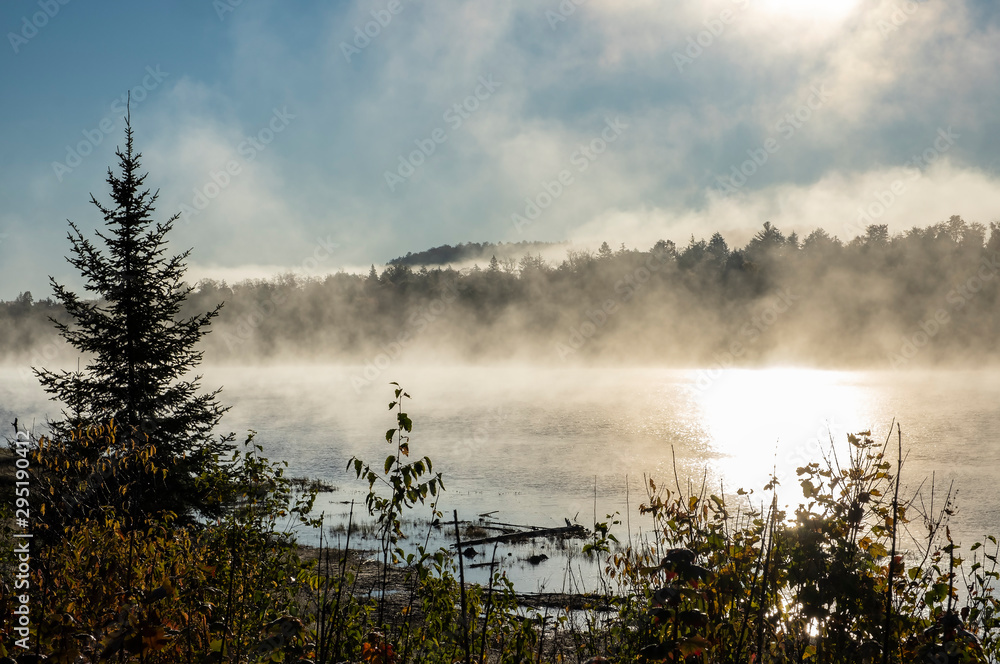 Fototapeta premium Early Morning Mist Over a Lake in Algonquin Park