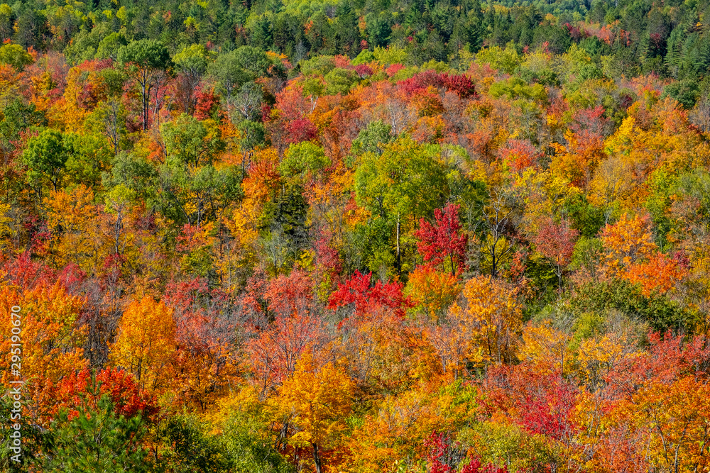 Fall Colors in Algonquin Park, Ontario, Canada Fall Colors in Algonquin Park, Ontario, Canada
