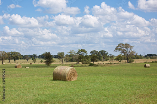 Round hay bales in a green field with billowy clouds in a blue sky