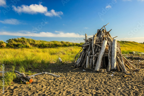 Driftwood fort on the beach