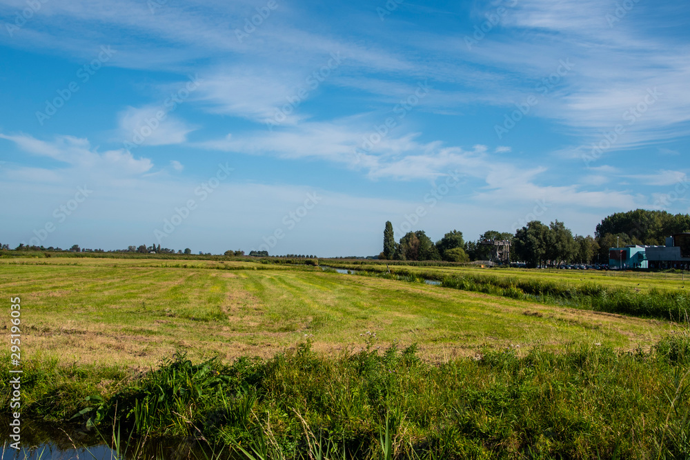Typical Dutch polder landscape near Zaandam, Nord Holland.
