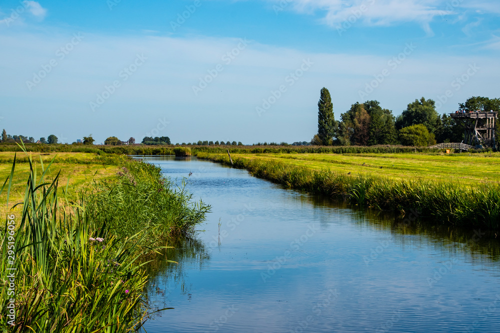 Typical Dutch polder landscape near Zaandam, Nord Holland.