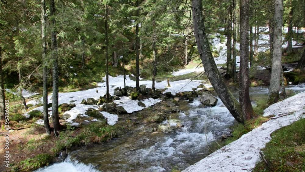White water river in Carpathia Mountains. White water river in Carpathia Mountains.