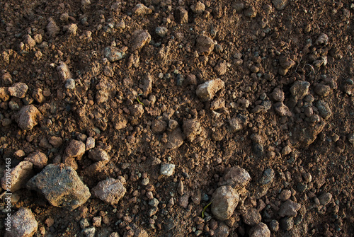 ground and stones close up texture