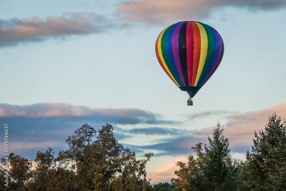 Fototapeta premium Rainbow hot-air balloon floats over grassy field and trees at sunrise