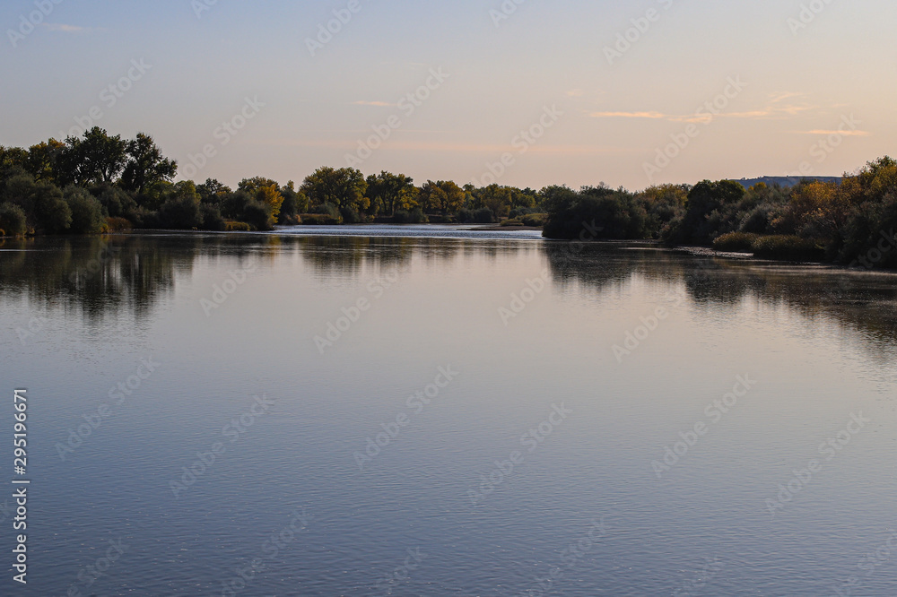 reflection of trees in water