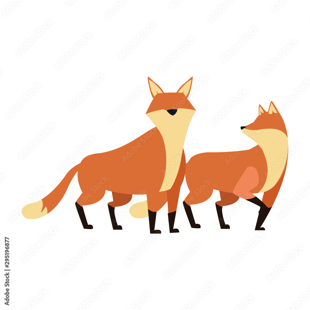 Obraz premium cartoon foxes icon, flat design