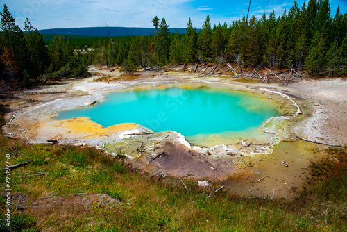 Geothermal feature at Norris geyser basin at Yellowstone National Park (USA)