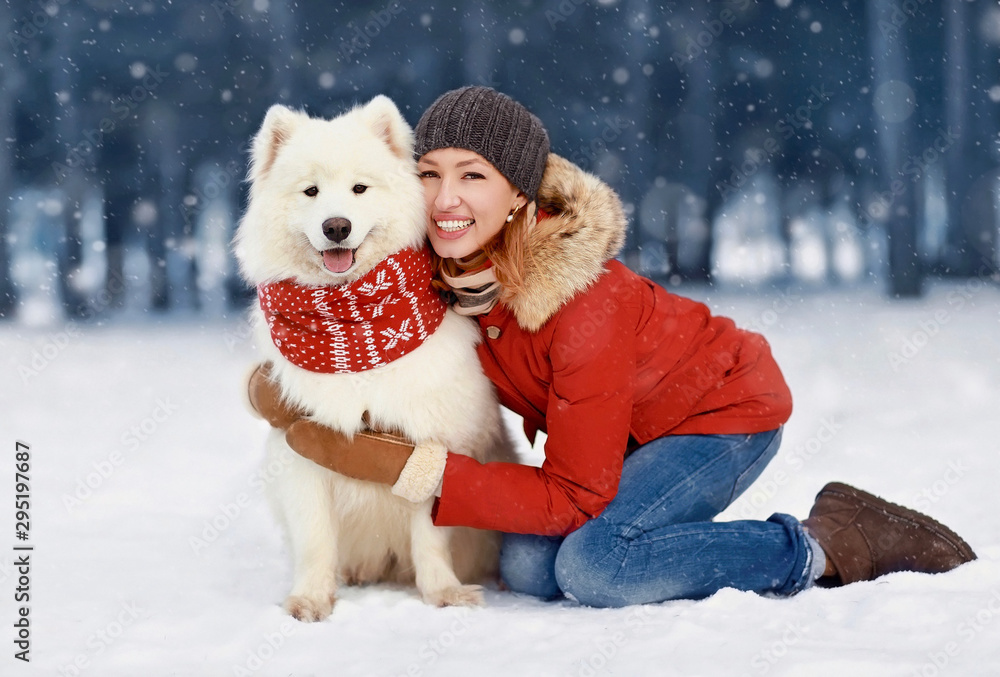 Happy smiling woman owner embracing white Samoyed dog outdoors wearing red scarf while sitting on snow in winter snowy day over flying snowflakes Happy smiling woman owner embracing white Samoyed dog outdoors wearing red scarf while sitting on snow in winter snowy day over flying snowflakes