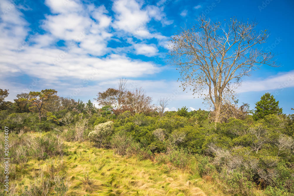 Life of the Marsh Nature Trail at Assateague Life of the Marsh Nature Trail at Assateague
