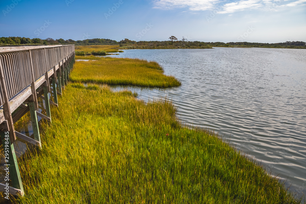 Life of the Marsh Nature Trail at Assateague