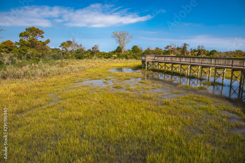 Life of the Marsh Nature Trail at Assateague