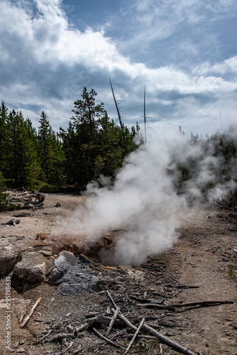 Geothermal feature at Norris geyser basin area at Yellowstone National Park (USA)