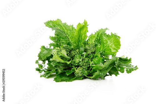 Broccoli Rabe Isolated