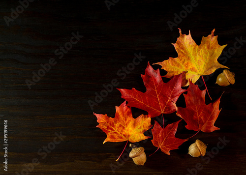 red, orange, yellow maple leaves with acron on wood surface.. photo