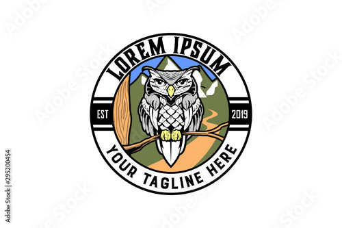 owl cartoon character vector logo badge template photo