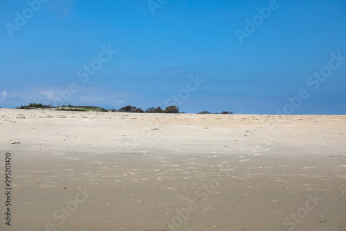 South Ocean Beach at Assateague Island