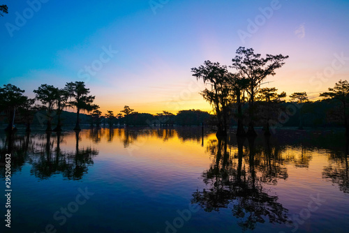 Colorful view during dawn at Caddo Lake near Uncertain, TX photo