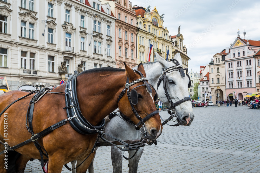A cart with a pair of brown and white horses on Old Town Square in Prague, Czech. A cart with a pair of brown and white horses on Old Town Square in Prague, Czech.