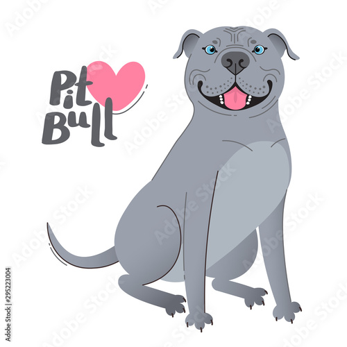 Blue gray pit bull terrier. Happy pitbull. Vector illustration