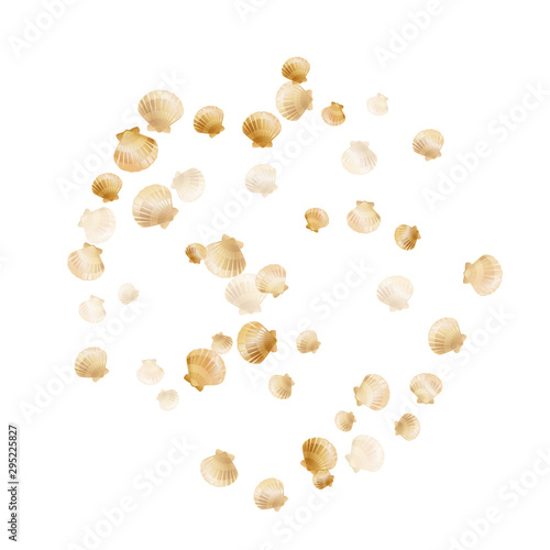 Gold seashells vector, golden pearl bivalved mollusks. 