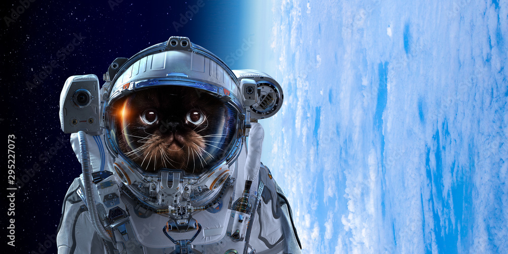 First trip to space. Mixed media First trip to space. Mixed media