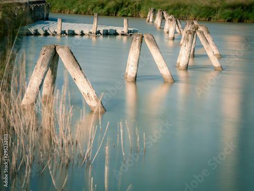 Impressions at lake neusiedlersee in Burgenland Austria photo