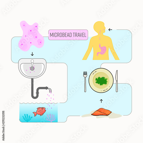 Microbead travel infographic. Microbead in cosmetic product can enter the food chain and harm human health. Vector illustration outline flat design style.