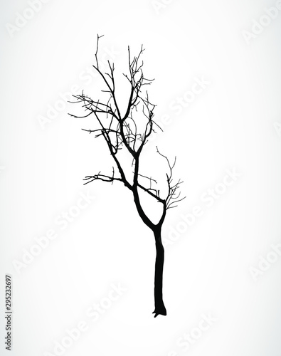 vector black silhouette of dry tree without leafs. Single dead tree on a white background
