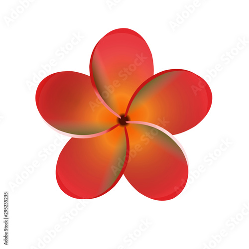 Plumeria Flower - Cartoon Vector Image