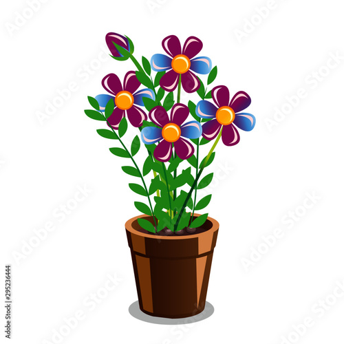 Flower in a pot with plant vector