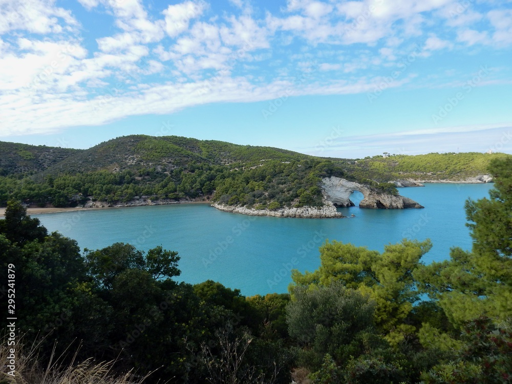 Naklejka premium Vieste - Scorcio panoramico di Baia San Felice