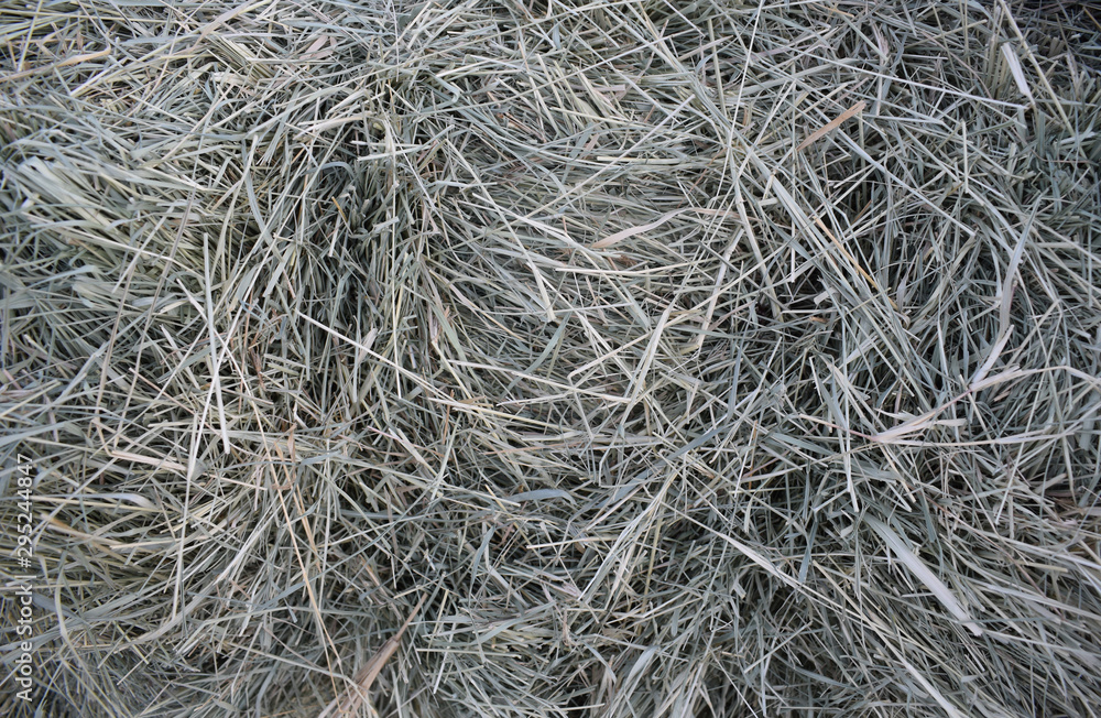 texture of bermuda hay at the end of a bale texture of bermuda hay at the end of a bale