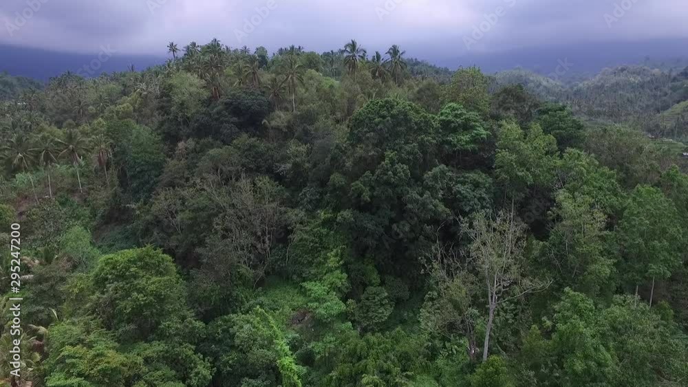 Aerial shot of Sekumpul waterfall. Drone shot. Aerial shot of Sekumpul waterfall. Drone shot.