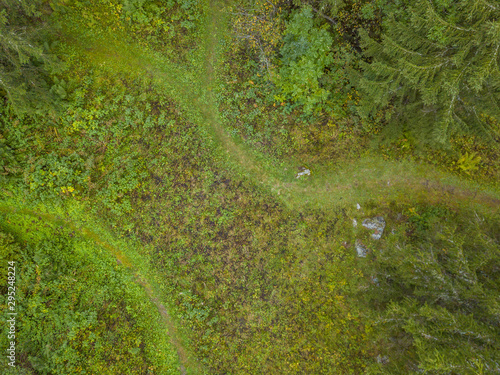 Aerial view of small winding path through forest in mountain area. Trekking and hiking route in Swiss alps.