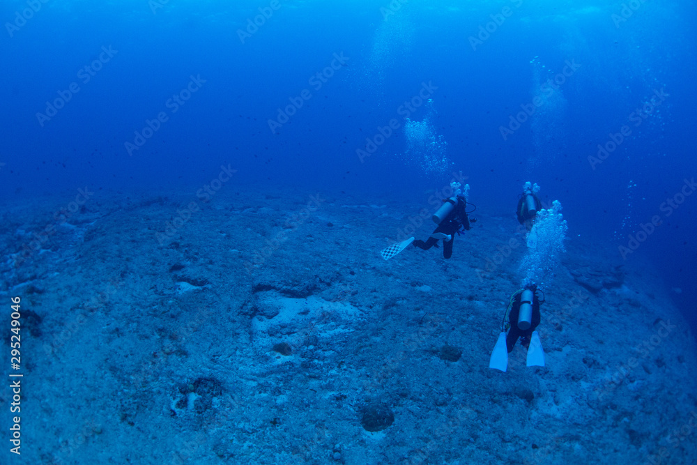 Fototapeta premium パラオ_ペリリュー_スキューバダイビング