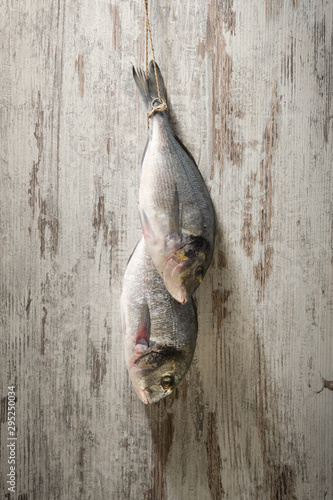 Fish hanging on the background of an light grey wooden wall.