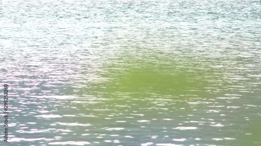 水面の揺らぎ 水面の揺らぎ