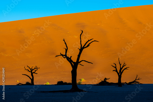 Deadvlei is a white clay pan located near the more famous salt pan of Sossusvlei  inside the Namib-Naukluft Park in Namibia.