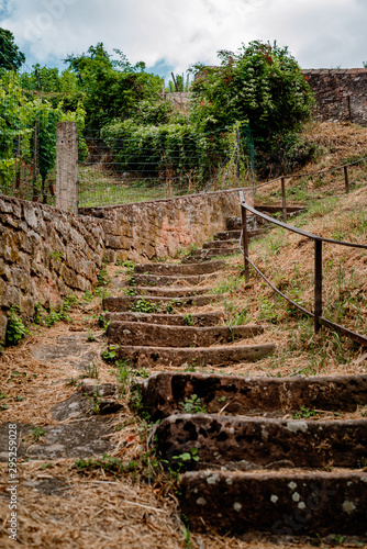 Picturesque views of the streets of Ribeauville in Alsace  France