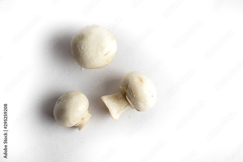 fresh champignon mushrooms on a white background fresh champignon mushrooms on a white background