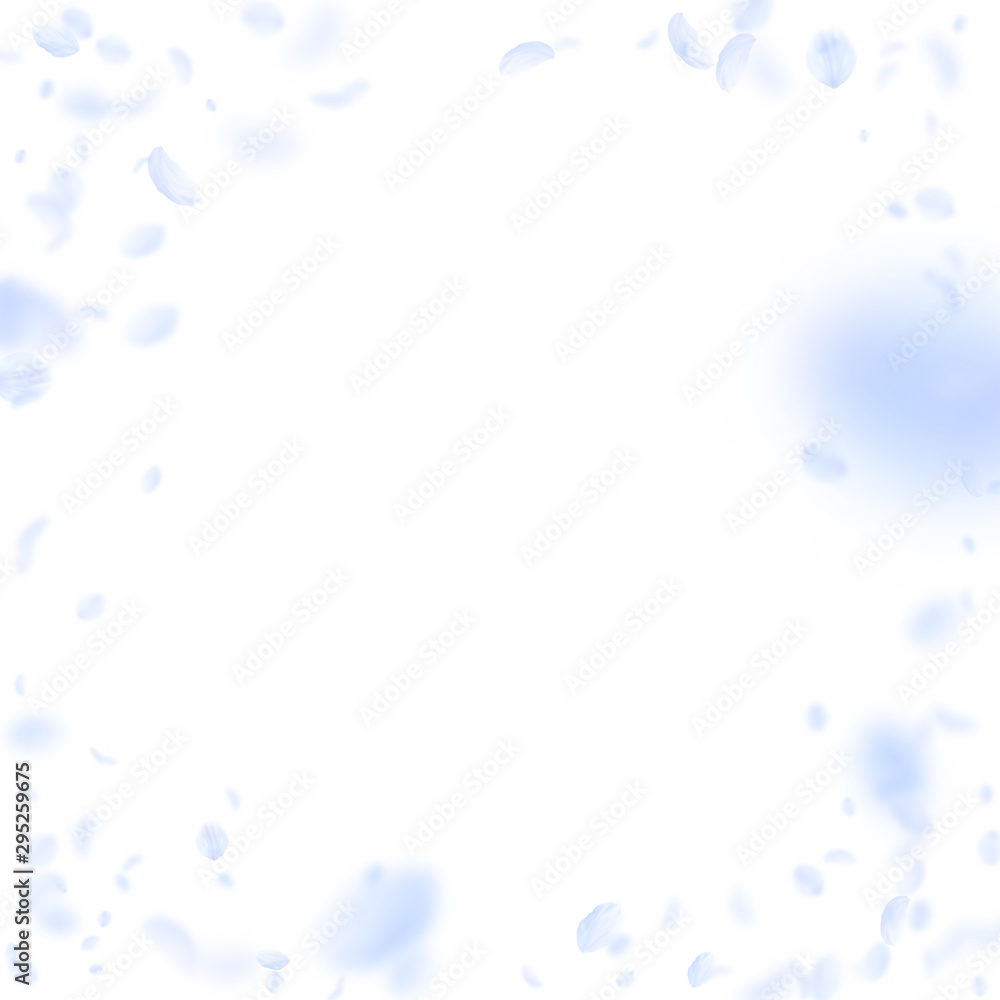 Light blue flower petals falling down. Unusual rom Light blue flower petals falling down. Unusual rom