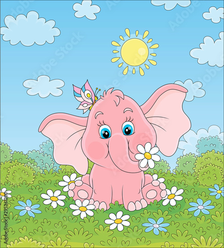 Little pink elephant playin...