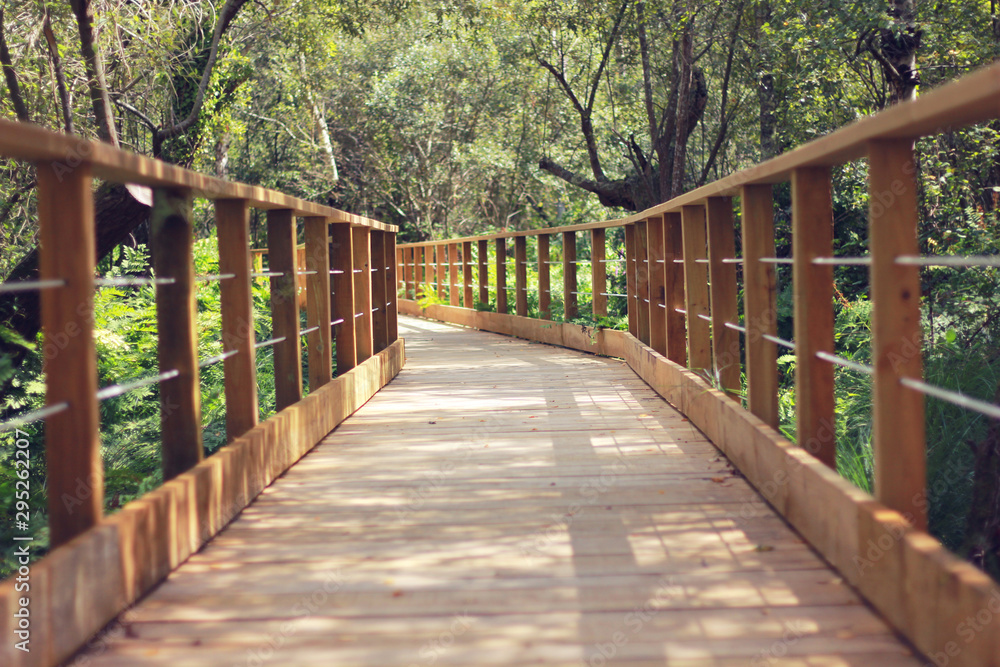 Chemin en bois